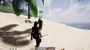 Gameplay | Functional
