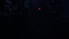 Tổng quát / Điện ảnh | Wolfman