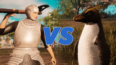 Gameplay | Survival - Penguin Fight
