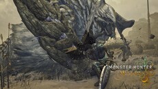 モンスターハンターWILDS Amazon.co.jp: Monster Hunter Wilds Standard Edition (輸入版