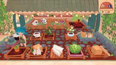 Oynanış | Garden Only