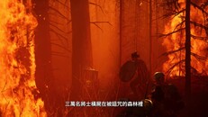 預告片 | Announcement Trailer - Traditional Chinese