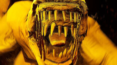 Allgemein/Film | GONEFishing