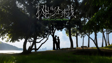 一般 / CG | Tree's Love Crossing Above PV1