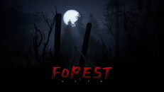 【2CD】YOU ARE NOW ENTERING / BLAK FOREST Blak Forest – You Are Now Entering The – CD (Album), 1997