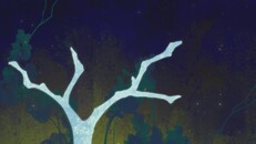 General / Cinematic | 简体中文版宣传片