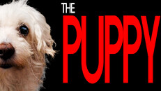 Extrait | The Puppy Trailer