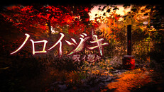 一般／シネマティック | ノロイヅキ(呪イ憑キ)