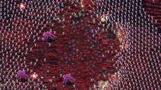 Gameplay | Announcement Trailer