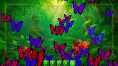 Gameplay | BirdQuest Find the Difference