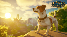 Teaser | Teaser Toto's Journey