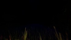 Teaser | Teaser 2