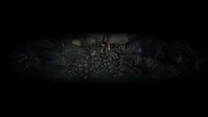 Teaser | The Silent Jungle