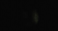 Teaser | The Meat Factory