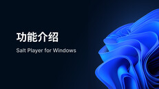 Gameplay | 功能介绍