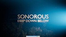 Gameplay | Sonorous | Gameplay Trailer 2025