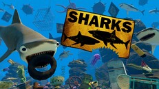 Gameplay | Gameplay