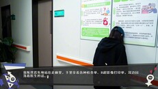 Gameplay | 实机演示