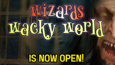 게임플레이 | Wizard's Wacky World is now OPEN!
