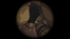 Teaser | Teaser Trailer