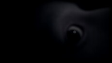 General / Cinematic | Waking Dreams Teaser