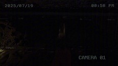 Gameplay | RedNight Archive 702