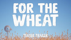 Teaser | FTW_Teaser_Trailer