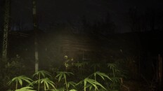 Gameplay | Announcement Trailer | Forest Doesn’t Care