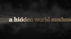 General / Cinematic | RiftTavern