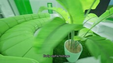 Tiiseri | Alpha Trailer