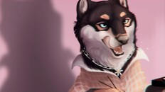 General / Cinematic | Autumn with the Shiba Inu release trailer