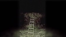 General / Cinematic | Missing Trailer I