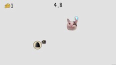 Gameplay | CatAndRat