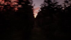 General / Cinematic | The Harvest - Trailer