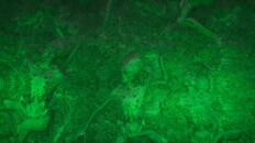 Gameplay | Trailer:Gameplay