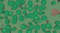 Teaser | Project Rebearth Release Trailer