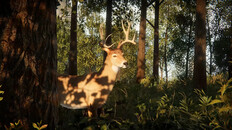 一般 / 劇情 | CrisisX Official Trailer | Gamescom 2025