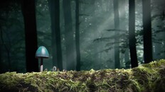 Gameplay | Tiny: The Last Wayfinder - Gameplay Trailer