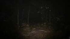 Gameplay | Misty Onsen - Retro Supporter Pack - Trailer