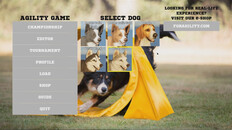 Gameplay | Agility game gameplay