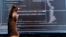 Gameplay | Gameplay Trailer