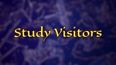 Gameplay | Fortune Teller Simulator Announcement Trailer