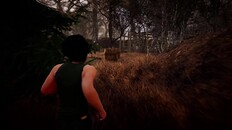 Gameplay | Gameplay