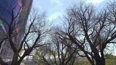 Generel/cinematisk | Soul Nine Trailer