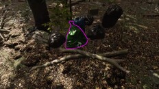 Gameplay | Gameplay Trailer