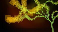 Gameplay | VERDURE Debut Trailer