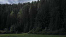 Gameplay | Reveal Trailer