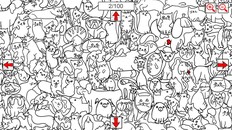 Jogabilidade | SEARCH ALL - BONES