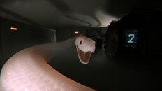 Gameplay | Digested Demo Montage