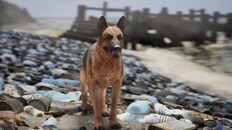 Jugabilidad | Restore Your Island